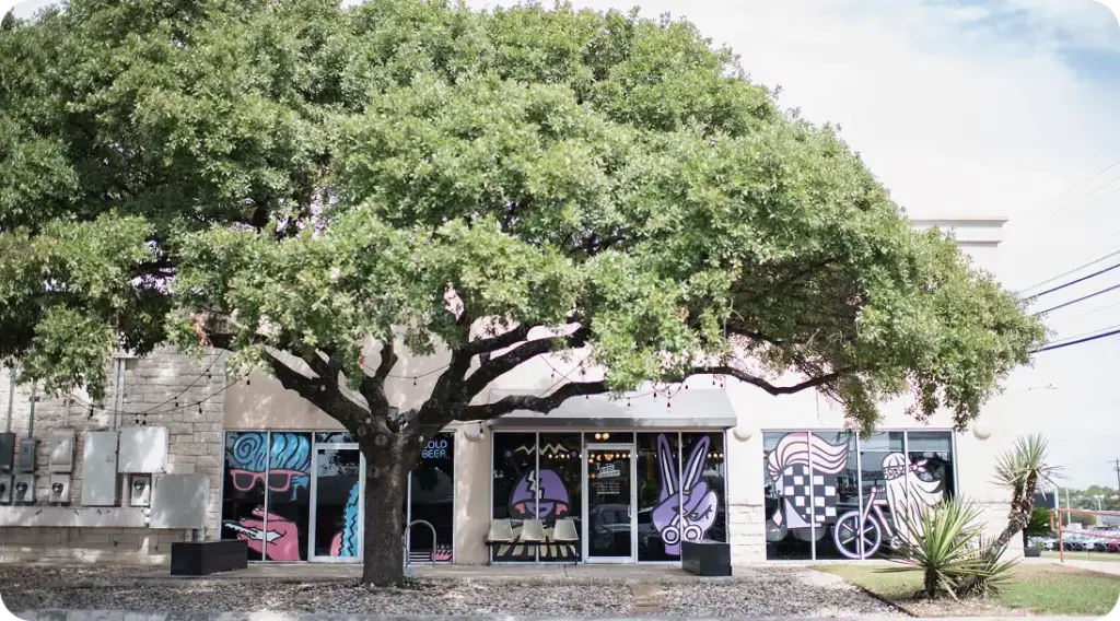 Birds Barbershop storefront featuring playful window murals and a shaded outdoor seating area.